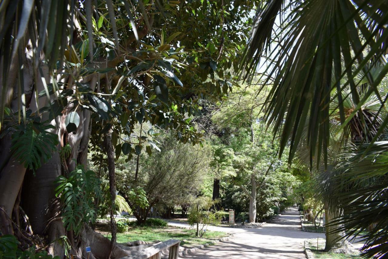 Green Apartment-City Centre Cagliari Luaran gambar